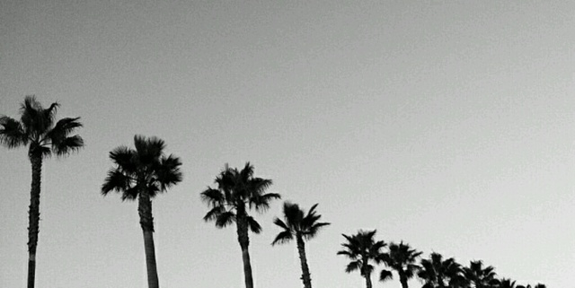Poshmark banner for @pllv